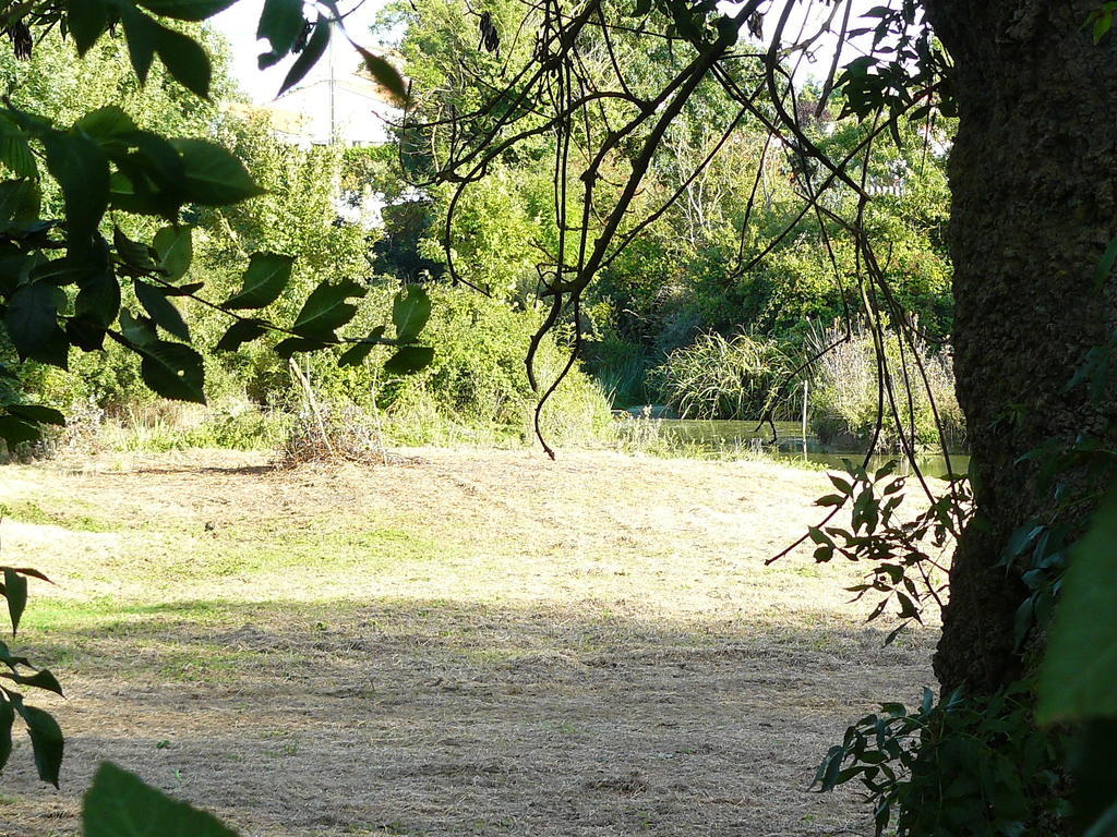 Villa Les Plénitudes du Rivage à Saint-Vincent-sur-Jard Extérieur photo