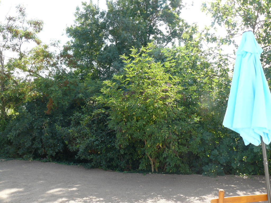Villa Les Plénitudes du Rivage à Saint-Vincent-sur-Jard Extérieur photo